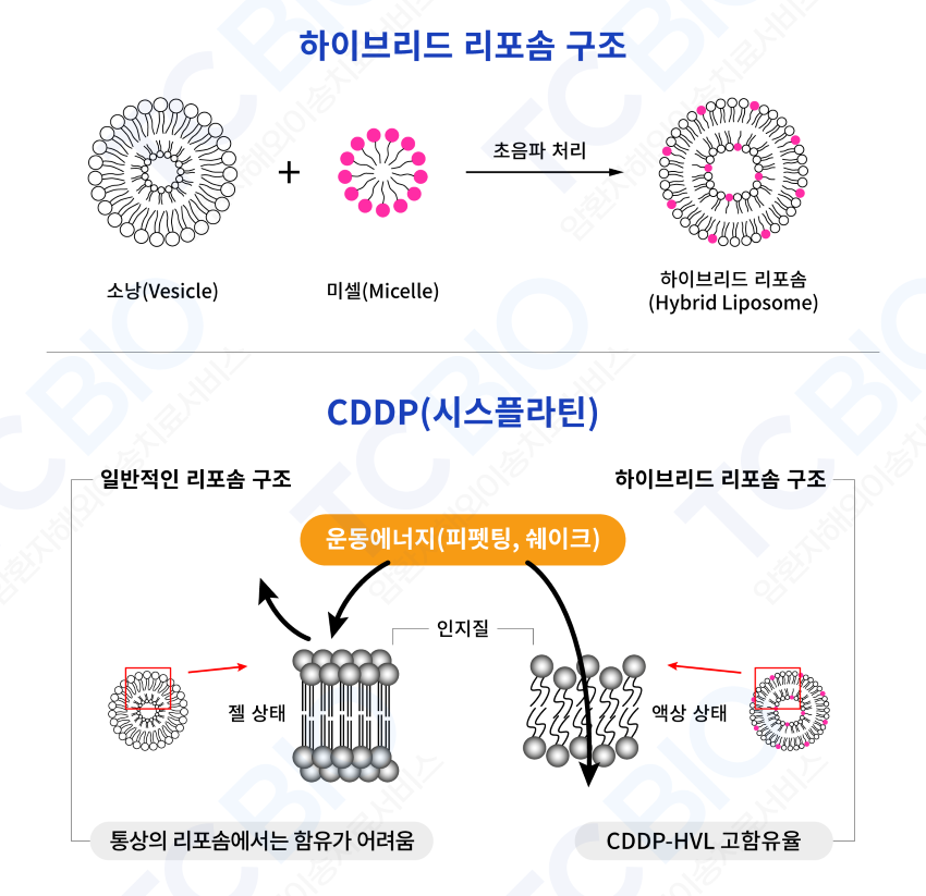 30959b945a9e32d9f1f2cbe9e4838c59_1673052281_6303.png 30959b945a9e32d9f1f2cbe9e4838c59_1673052281_6303.png